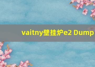 vaitny壁挂炉e2 Dump